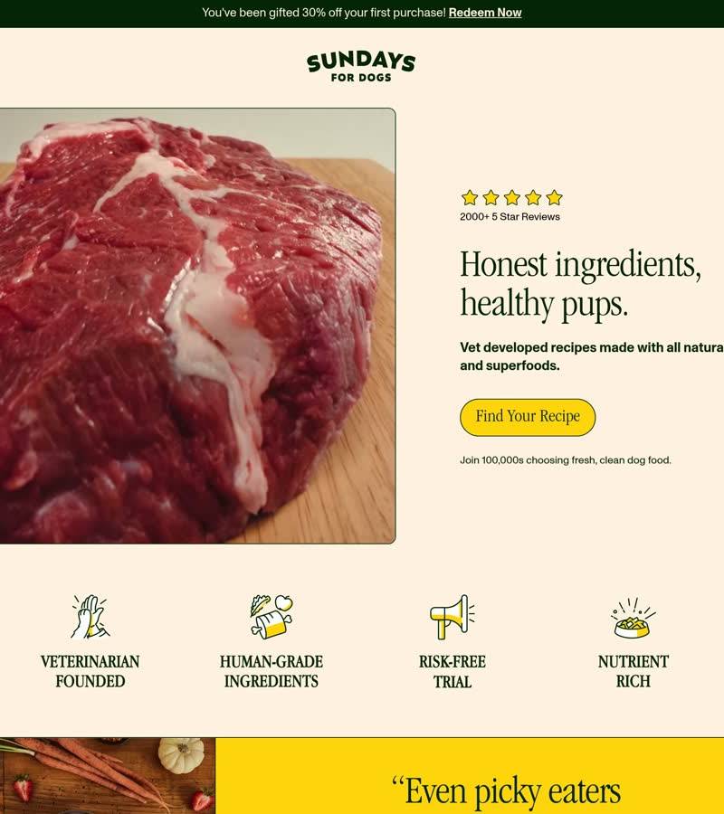 Sundays for Dogs — winning pet Shopify store