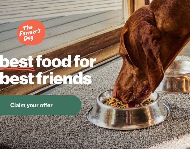 The Farmer's Dog — winning pet Shopify store