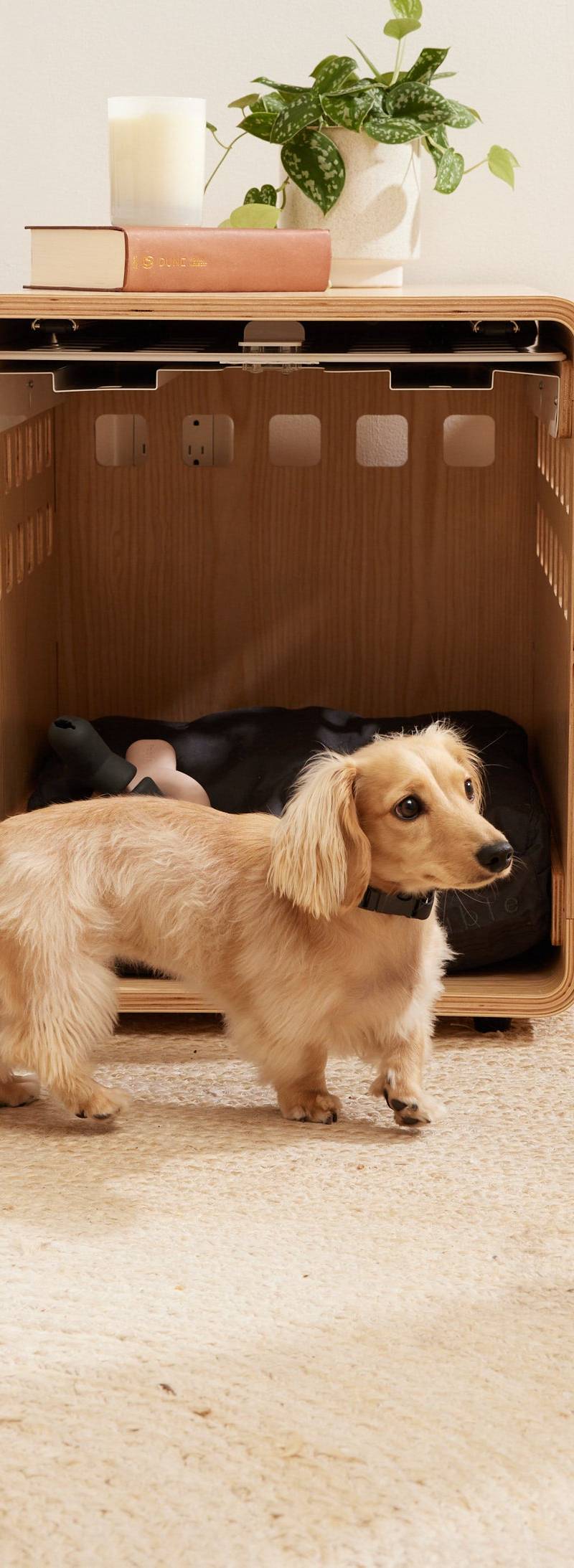 Fable Pets — winning pet Shopify store